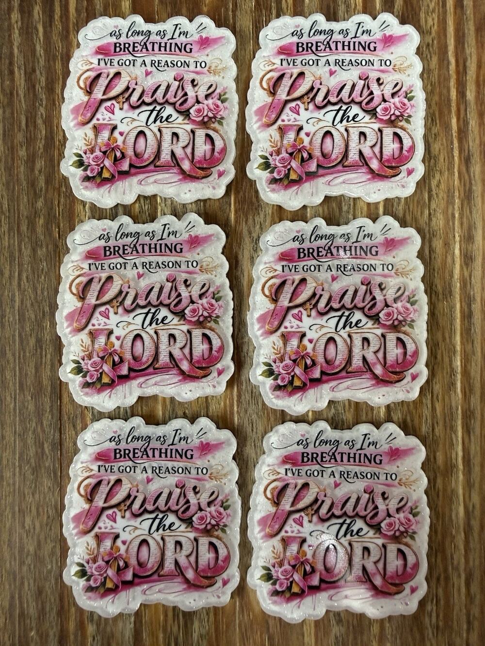 6 Pc Praise The Lord Acrylic Flatbacks